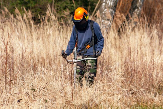 L’obligation légale de débroussaillement – un dispositif tout en nuances