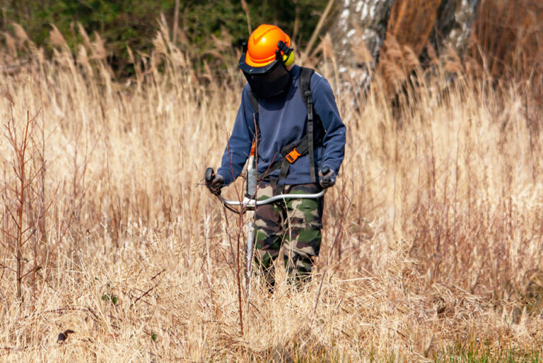 L’obligation légale de débroussaillement – un dispositif tout en nuances
